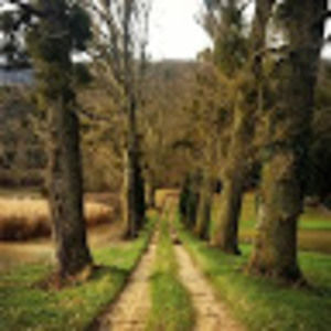 Meet your Posher, Becca